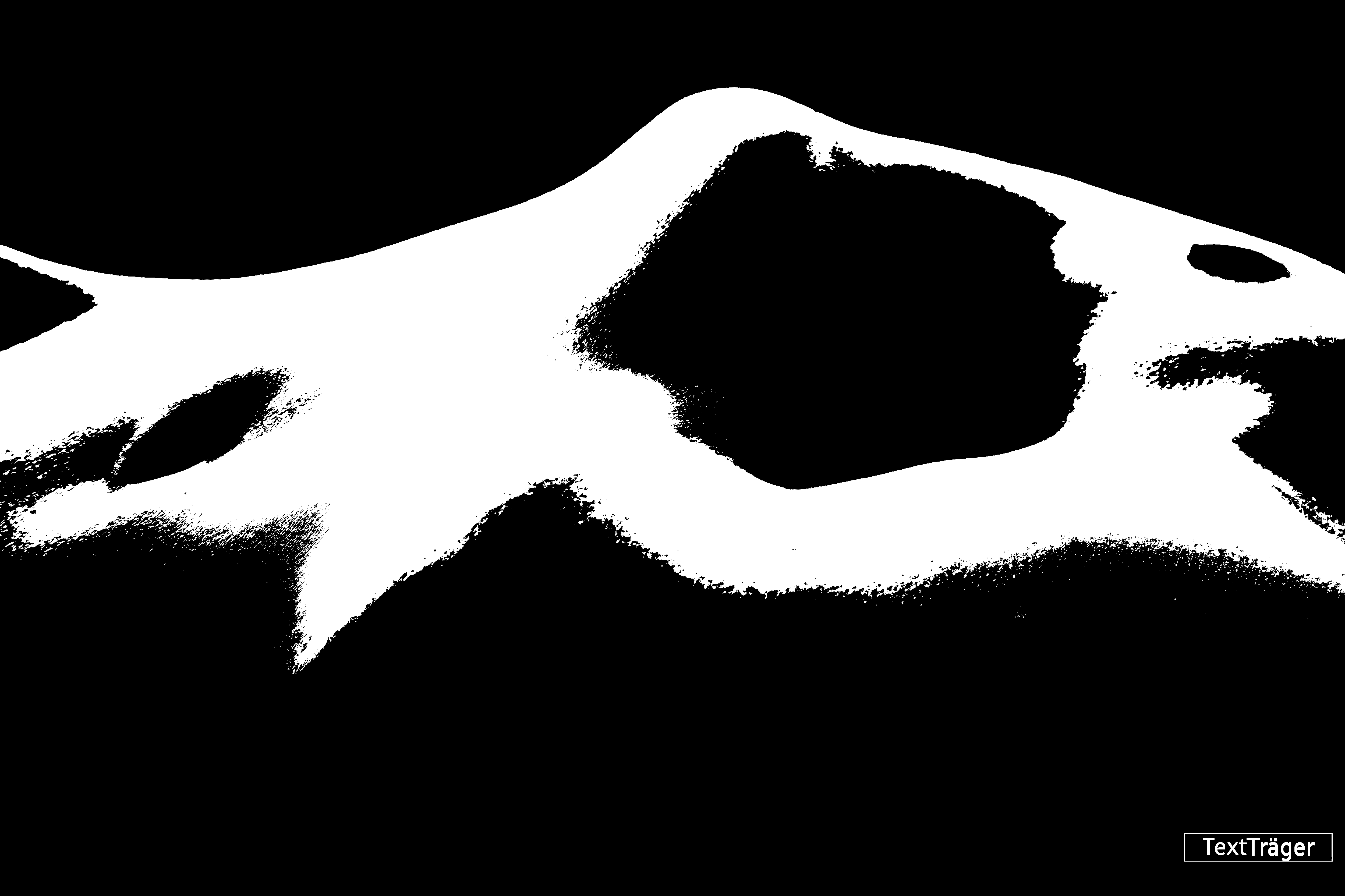 Schwarz-Weiß-Darstellung mit Körperformen